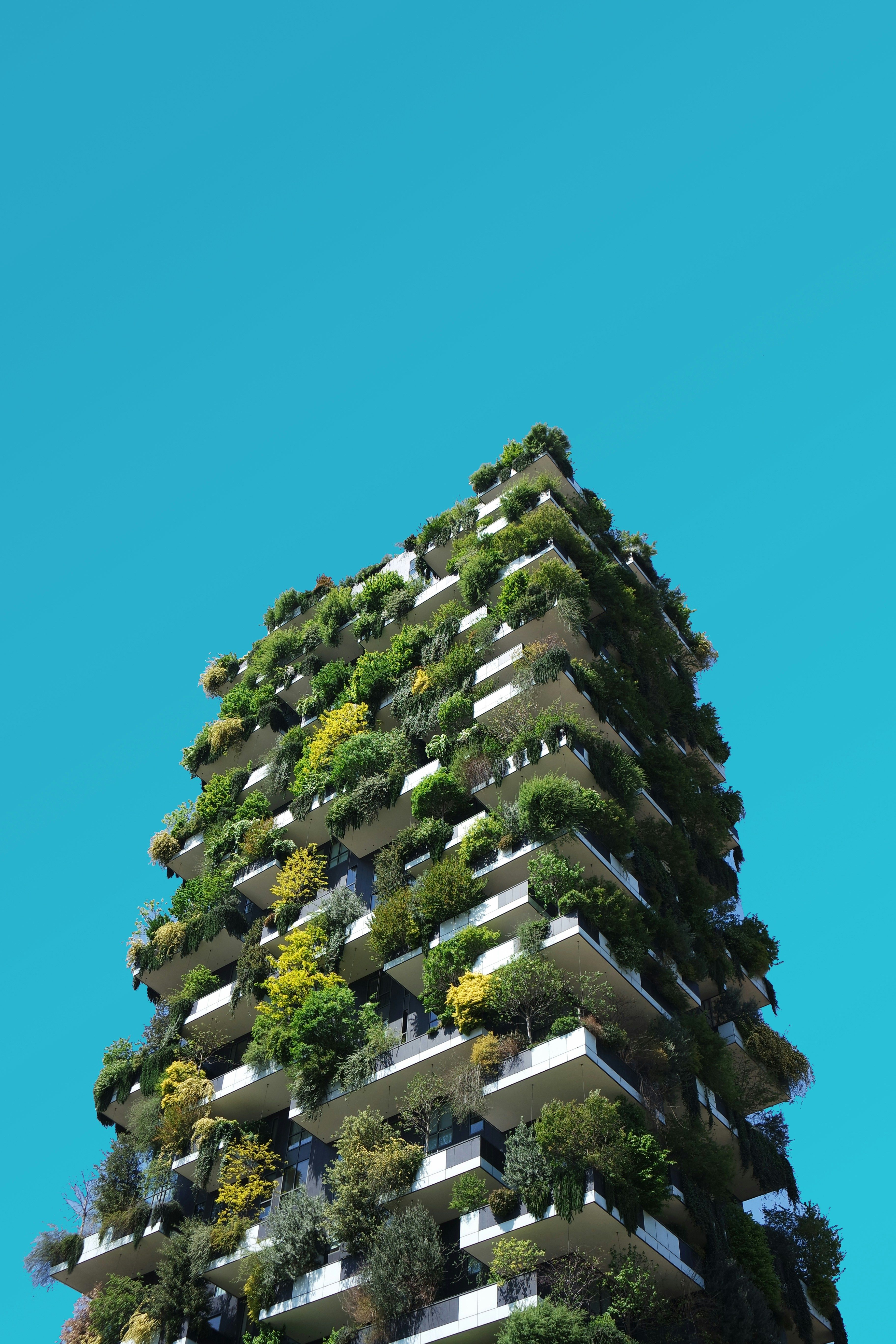 Impact investing and the spectrum of capital