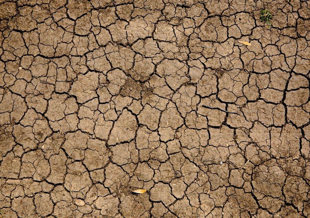 FundCalibre’s McDermott: Investing in a fractured world