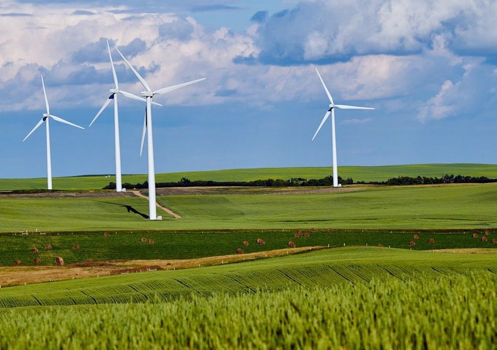 Guinness launches environment fund