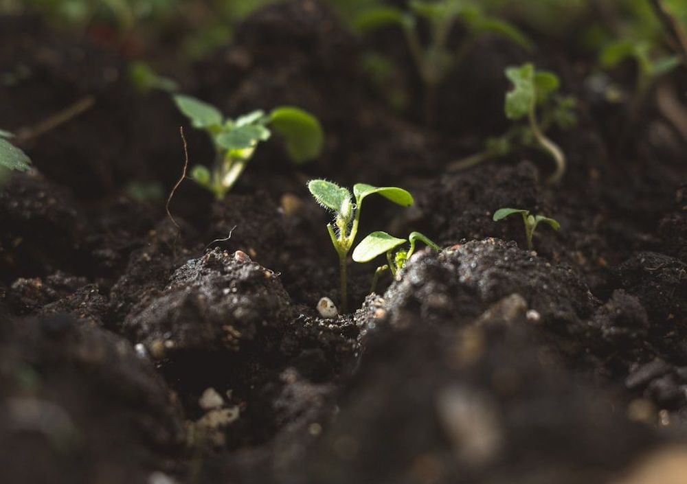 Six small but mighty funds you may not have heard of