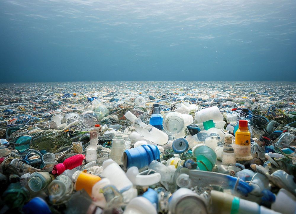From sepsis to sperm counts: why plastic pollution matters and how WHEB’s companies help