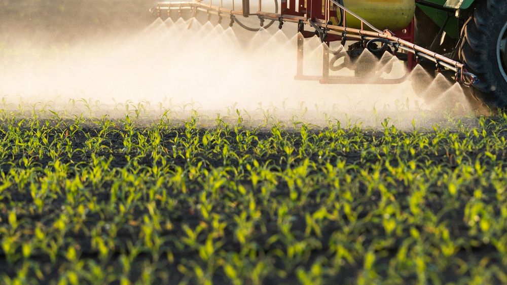 Growing smarter: How innovation helps grow food sustainably