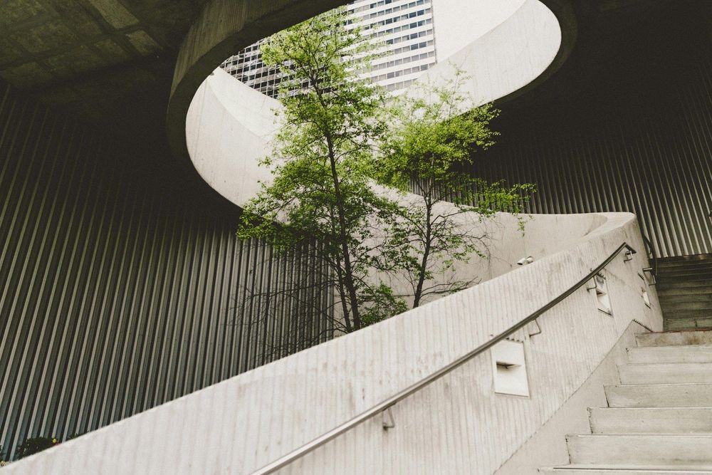 Sustainable investment trends for 2026