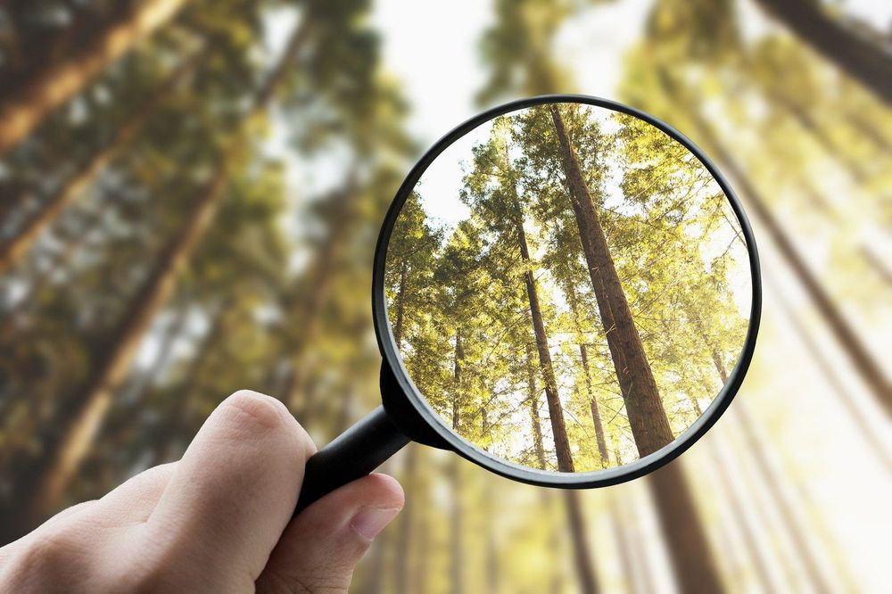 Stewardship in the spotlight: Achieving accountability while avoiding “engagement-washing”