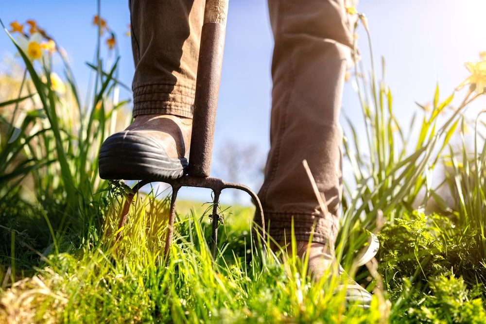Stewardship in the spotlight: Nature calls - from assessment to action