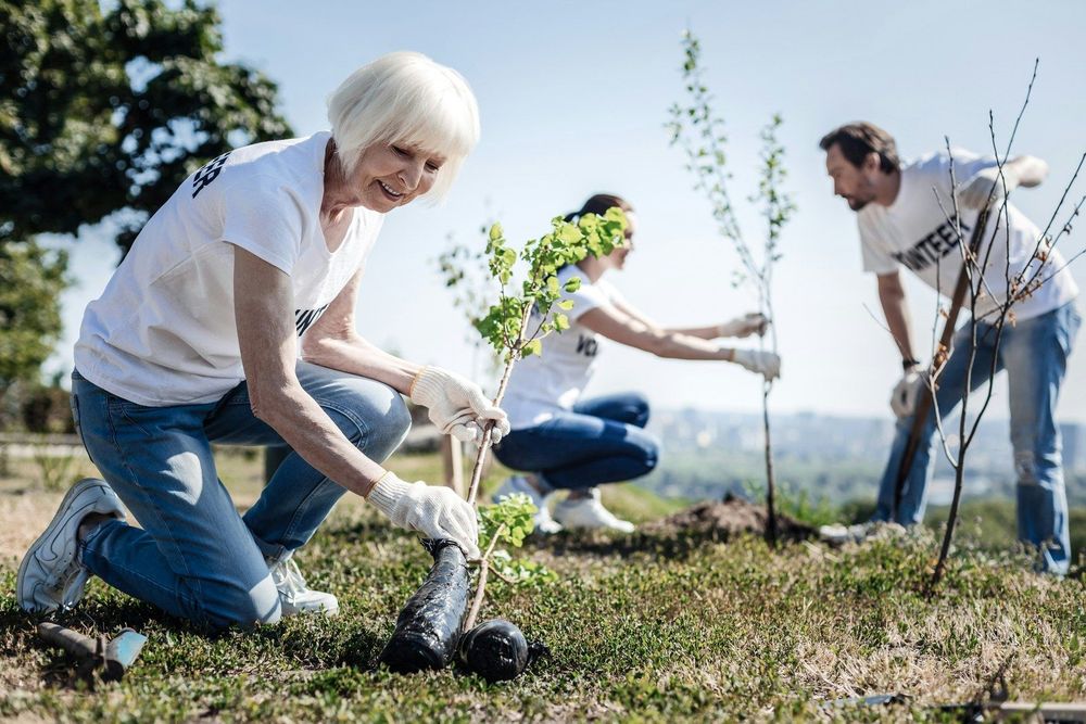 Reflecting on 2024: Strengthening stewardship and engagement for a sustainable future