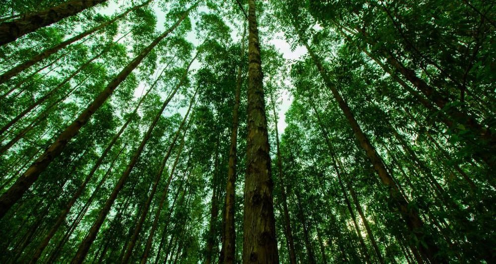 Improving investor confidence in impact investment