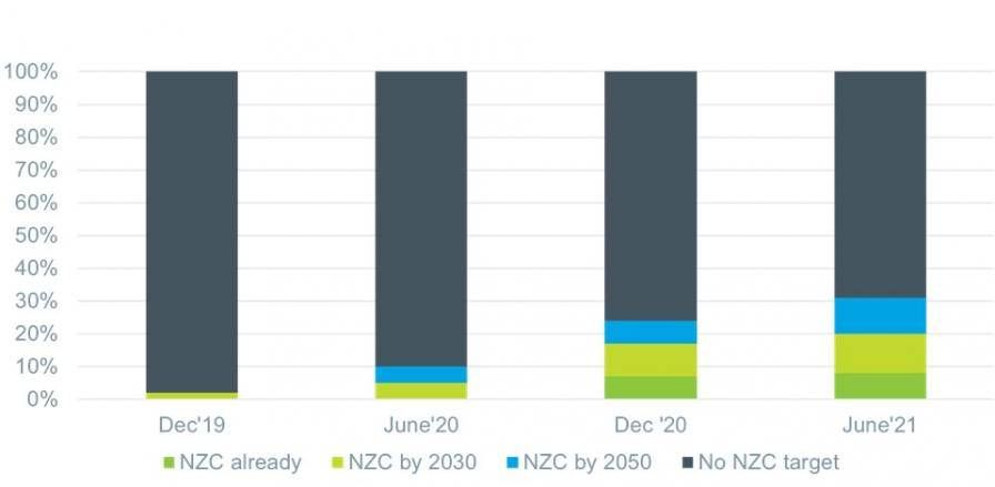 NZC graph