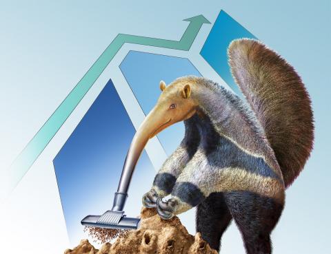 Anteater
