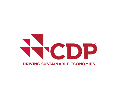 CDP non-disclosure campaign