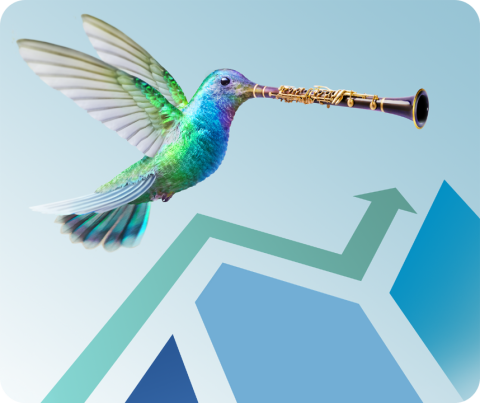 Flit