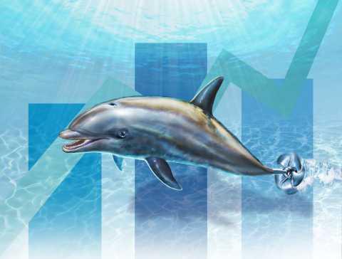 Dolphin for Website