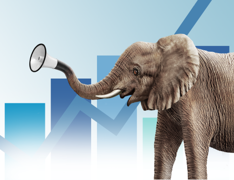 Elephant for Website
