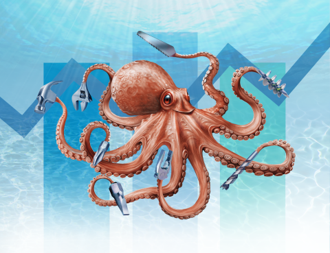 Octopus for Website