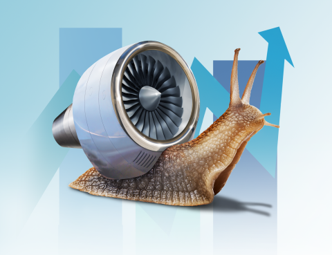 Snail for Website