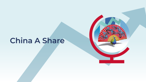 China A Share Fund