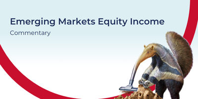 Guinness Emerging Markets Equity Income Commentary