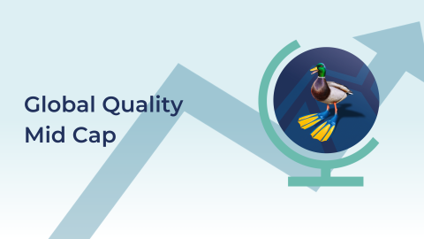 Guinness Global Quality Mid Cap Commentary