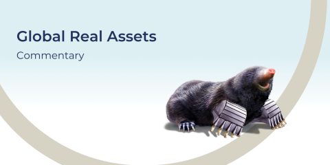 Guinness Global Real Assets Commentary