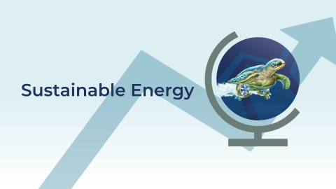 Guinness Sustainable Energy Commentary