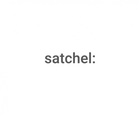 Satchel