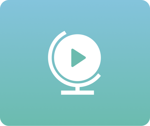 Webcasts carried out by Guinness Global Investors